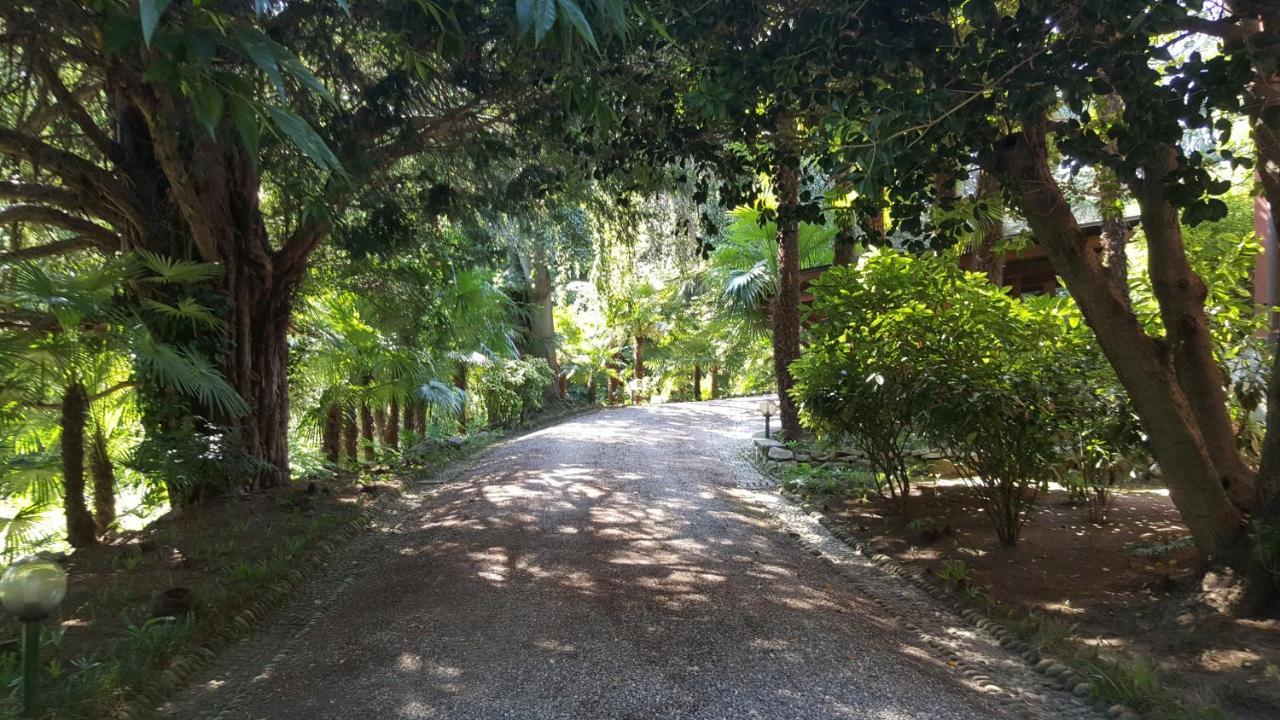 Villa Magnolia Lago Maggiore Besozzo エクステリア 写真
